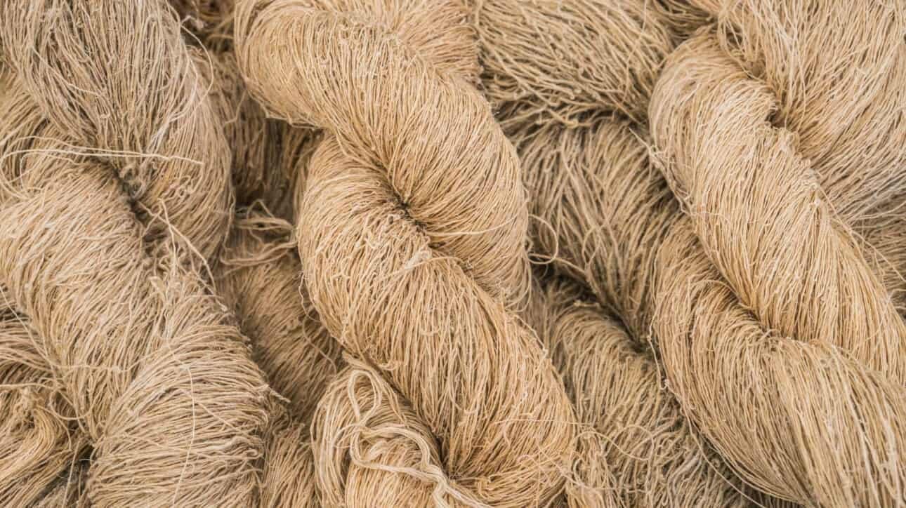 Hemp Fiber Market Gains Textile Momentum as Cottonized and Refined Grades Expand