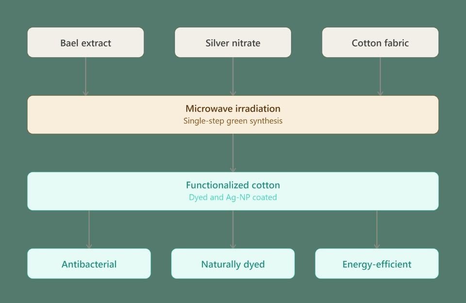 Egyptian Researchers Develop Eco-Friendly One-Step Method for Dyeing and Functionalizing Cotton Fabric