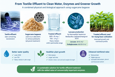 Sugarcane Waste Cleans Up Textile Effluent and Feeds an Enzyme Process, Pak-Saudi Research Team Finds