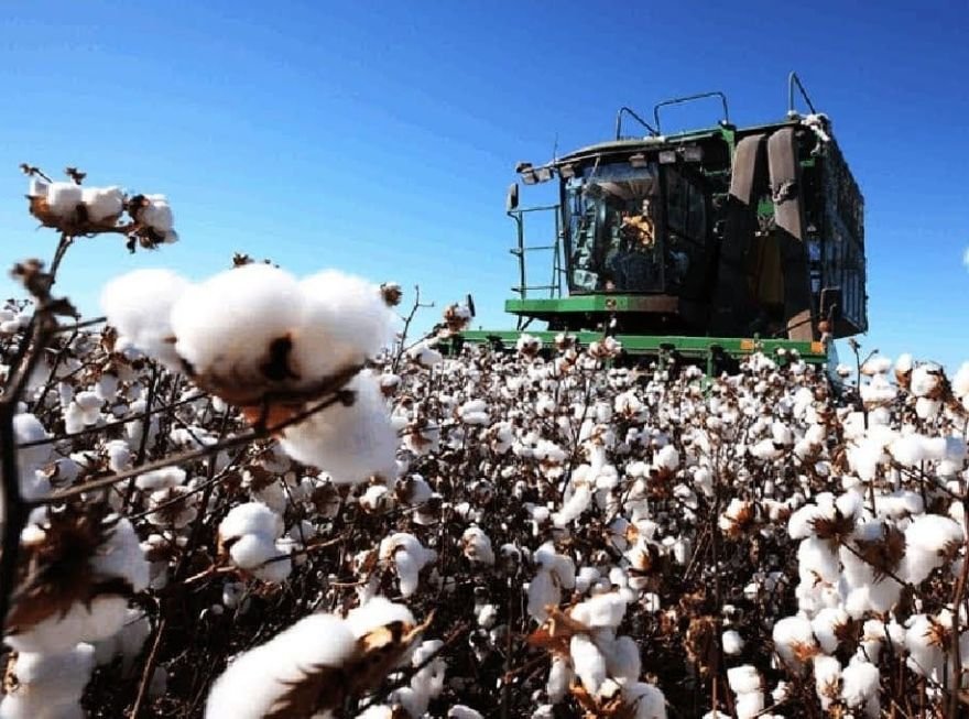 From Hand-Picking to Harvesters
