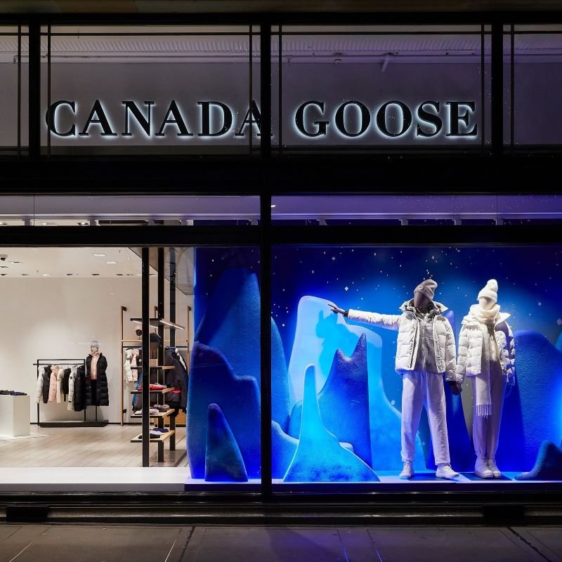 canada goose