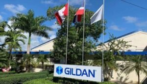 gildan
