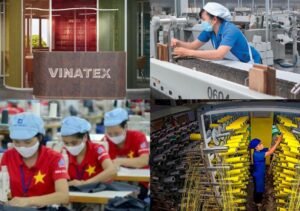 vinatex 5